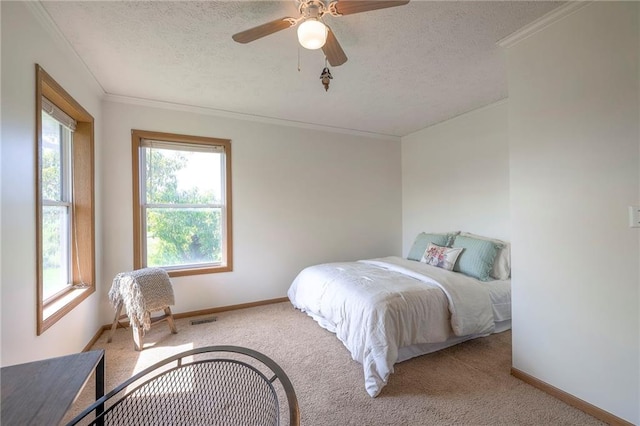 20911 S Staley Mound Rd, Pleasant Hill, MO 64080 - photo 28