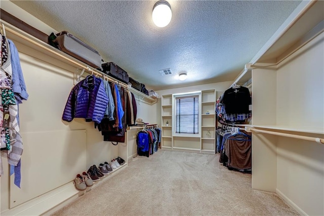 10963 S Carbondale St, Olathe, KS 66061 - walk in closet featuring carpet flooring