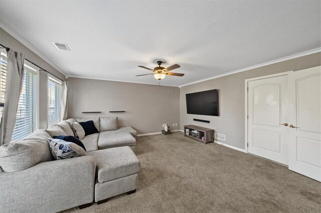2312 SW Post Oak Ct, Lees Summit, MO 64082 - living area featuring ornamental molding, carpet floors, a ceiling fan, and a textured ceiling