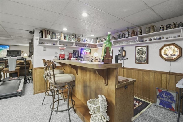 2005 NW Fawn Dr, Blue Springs, MO 64015 - indoor bar featuring a paneled ceiling, carpet, a wainscoted wall, and wooden walls