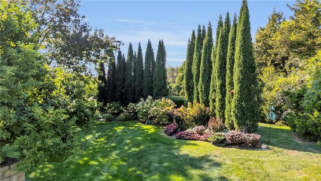 10400 Howe Dr, Leawood, KS 66206 - view of green lawn