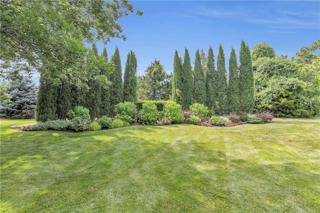 10400 Howe Dr, Leawood, KS 66206 - view of grassy yard
