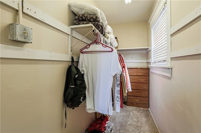 2517 Felix St, Saint Joseph, MO 64501 - spacious closet with carpet flooring