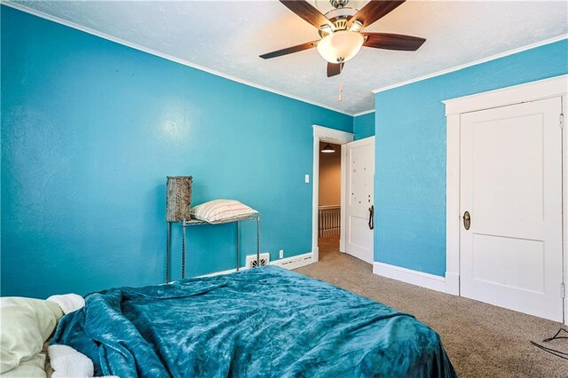 2517 Felix St, Saint Joseph, MO 64501 - bedroom with ornamental molding, carpet floors, a ceiling fan, and a textured wall