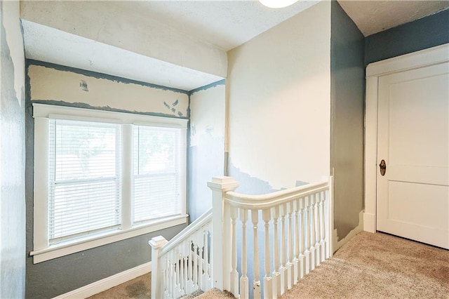 2517 Felix St, Saint Joseph, MO 64501 - hallway featuring an upstairs landing, carpet flooring, and plenty of natural light
