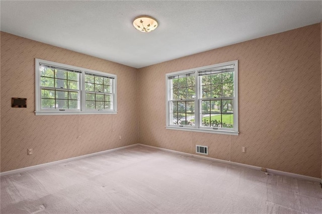 3300 W 93rd St, Leawood, KS 66206 - spare room with healthy amount of natural light and carpet floors