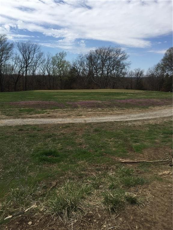114 Golf Course Dr, Mound City, KS 66056 - photo 3