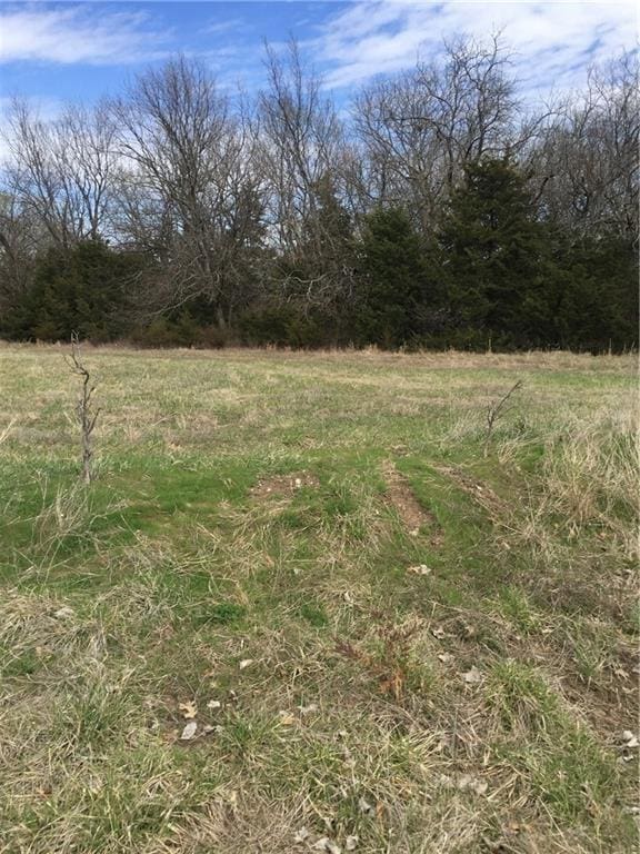 114 Golf Course Dr, Mound City, KS 66056 - photo 7