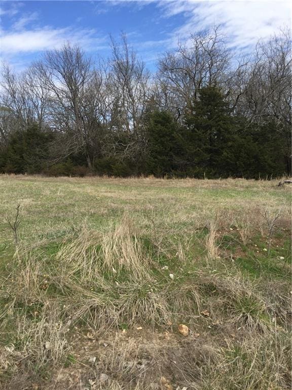 114 Golf Course Dr, Mound City, KS 66056 - photo 10