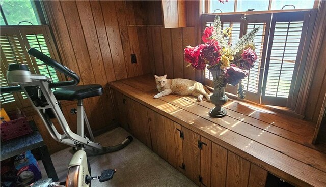 2003 S Elm St, Pittsburg, KS 66762 - exercise area featuring plenty of natural light, wood walls, and carpet flooring