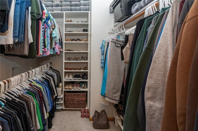 731 E 1100th Rd, Baldwin City, KS 66006 - walk in closet featuring carpet flooring