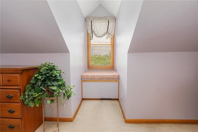 731 E 1100th Rd, Baldwin City, KS 66006 - bonus room featuring lofted ceiling and light colored carpet