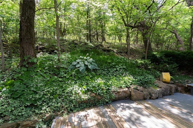 731 E 1100th Rd, Baldwin City, KS 66006 - view of tree filled area