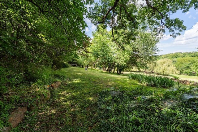 731 E 1100th Rd, Baldwin City, KS 66006 - view of grassy yard