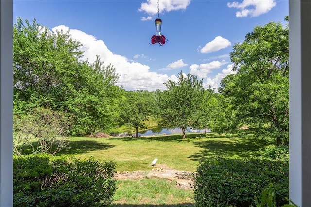 731 E 1100th Rd, Baldwin City, KS 66006 - view of green lawn featuring a water view
