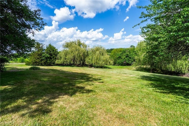 731 E 1100th Rd, Baldwin City, KS 66006 - view of grassy yard with a wooded view