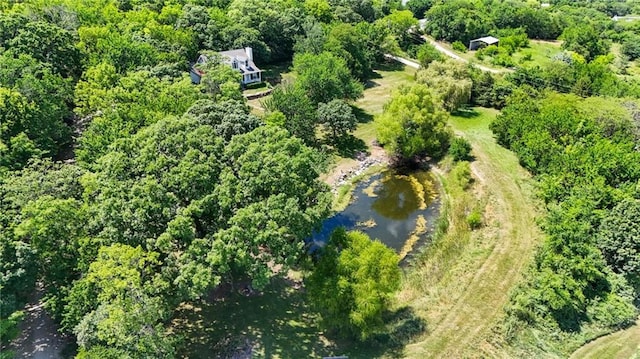 731 E 1100th Rd, Baldwin City, KS 66006 - view from above of property with a large body of water