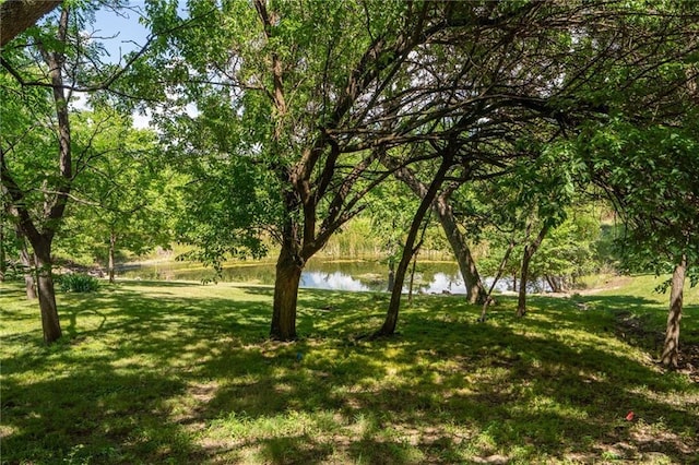 731 E 1100th Rd, Baldwin City, KS 66006 - view of green lawn featuring a water view
