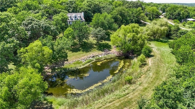 731 E 1100th Rd, Baldwin City, KS 66006 - aerial overview of property's location with a large body of water and a heavily wooded area