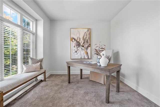 5701 W 146th St, Overland Park, KS 66223 - home office with carpet and baseboards
