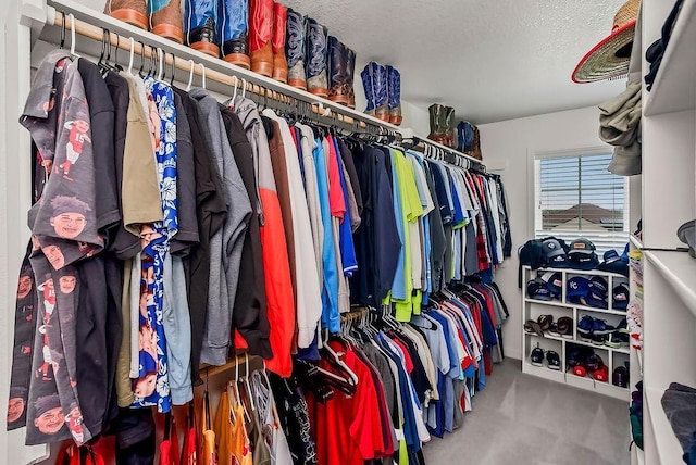 24322 W 58th Cir, Shawnee, KS 66226 - spacious closet featuring carpet flooring