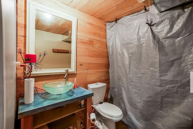 1229 Starbrooke Dr, Louisburg, KS 66053 - full bath featuring wood ceiling, wood walls, vanity, and a shower with shower curtain