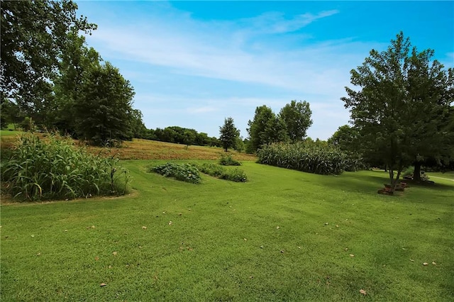 9434 NW Bethlehem Rd, Columbus, KS 66725 - photo 29