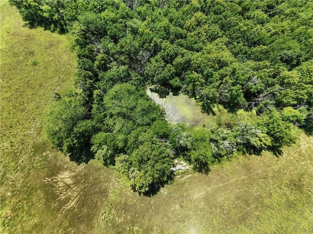 20.34AC S Shrout Rd, Grain Valley, MO 64029 - photo 12