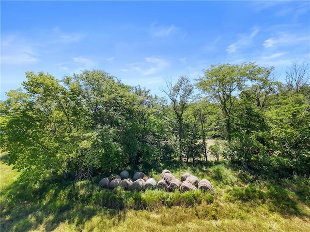 20.34AC S Shrout Rd, Grain Valley, MO 64029 - photo 15
