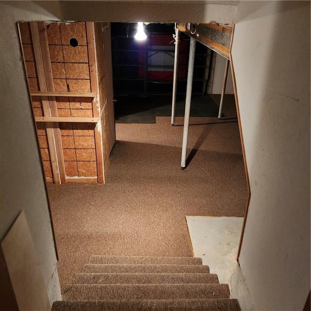 9318 Greenway Ln, Lenexa, KS 66215 - basement with carpet flooring