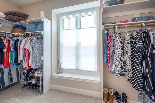 11514 W 143rd Ter, Olathe, KS 66062 - walk in closet featuring carpet floors
