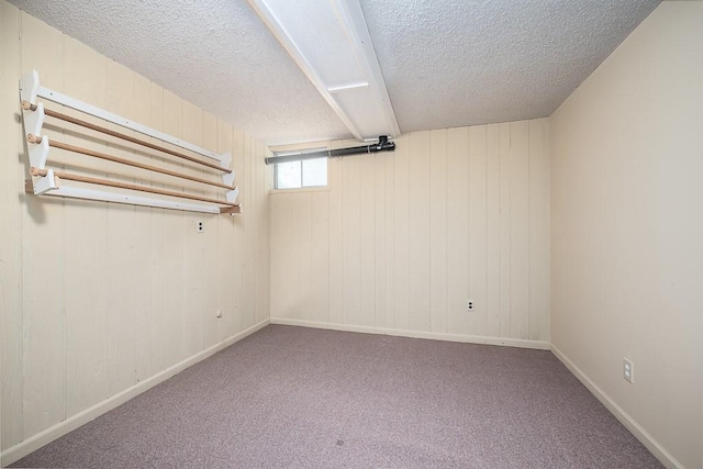 20723 Kissinger Rd, Tonganoxie, KS 66086 - basement featuring a textured ceiling, carpet flooring, and wooden walls