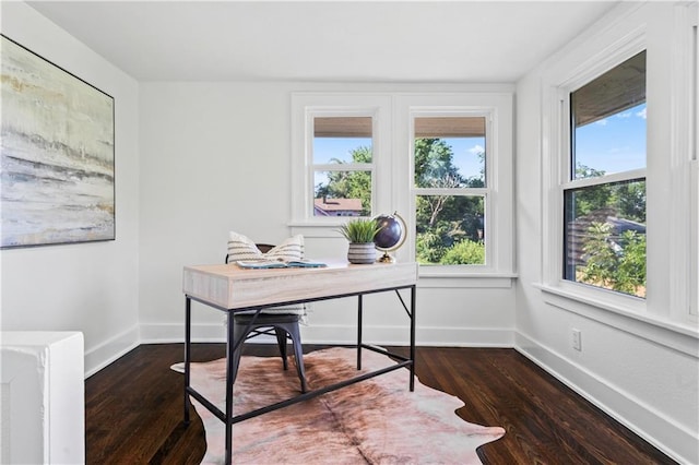 5409 Brooklyn Ave, Kansas City, MO 64130 - office space with plenty of natural light and dark wood-style flooring