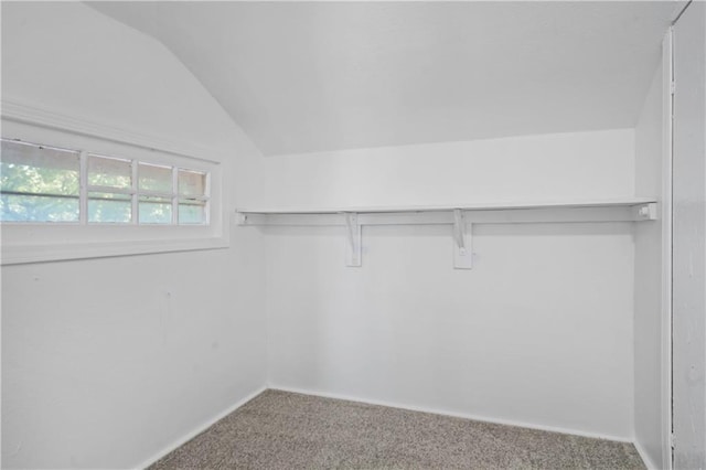 5409 Brooklyn Ave, Kansas City, MO 64130 - walk in closet with carpet flooring and lofted ceiling