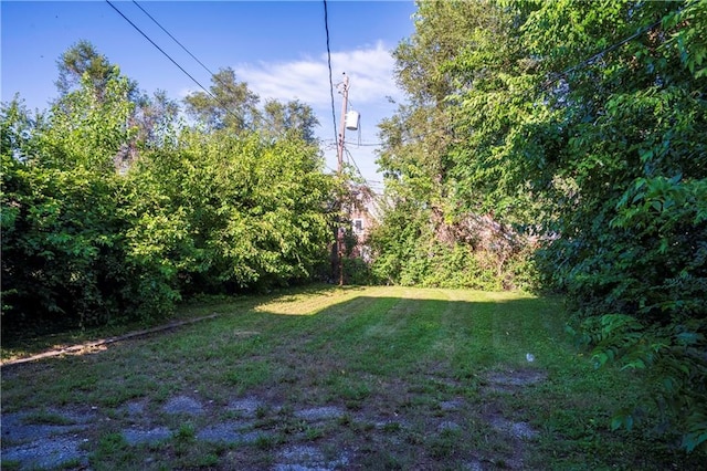 5409 Brooklyn Ave, Kansas City, MO 64130 - view of grassy yard