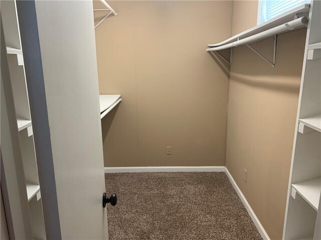 1305 NE 84th Pl, Kansas City, MO 64155 - photo 11