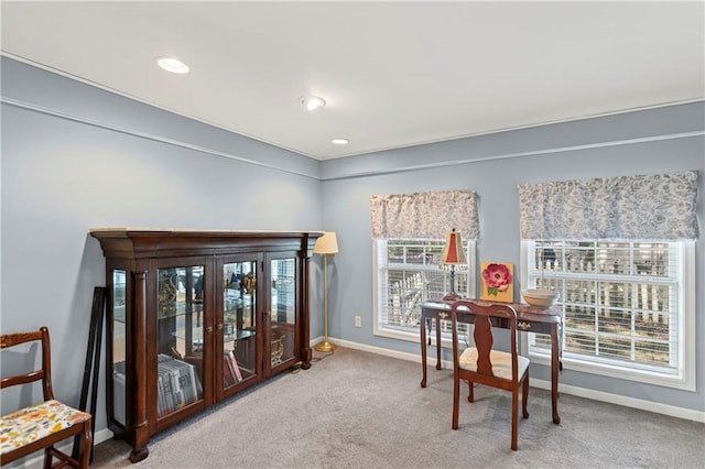 4419 S Lane St, Olathe, KS 66061 - photo 11