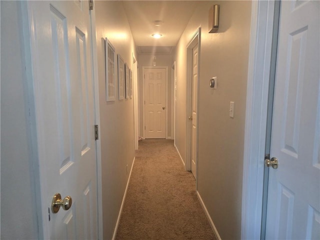 1720 SE Kenwood Dr, Blue Springs, MO 64014 - hall with light colored carpet and attic access