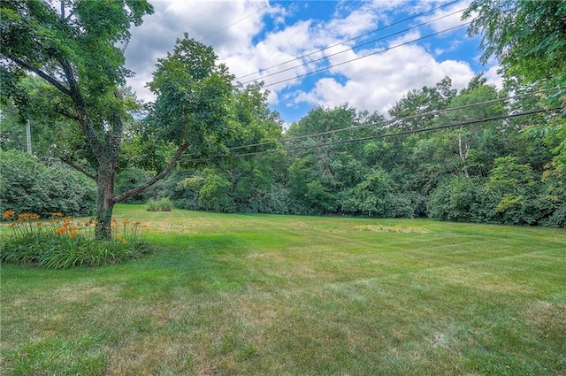 9730 State Line Rd, Leawood, KS 66206 - view of green lawn featuring a view of trees