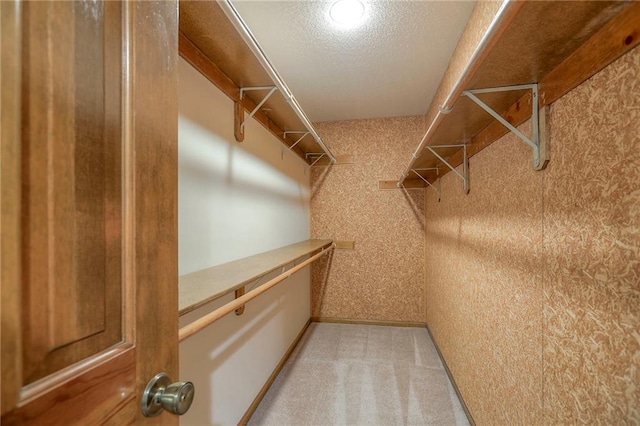 11512 Hadley St, Overland Park, KS 66210 - spacious closet with light carpet