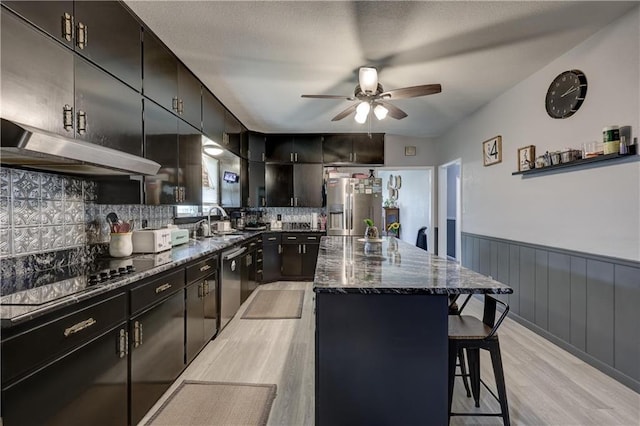 2509 E 4th St, Pittsburg, KS 66762 - kitchen with appliances with stainless steel finishes, under cabinet range hood, a center island, a ceiling fan, and light wood finished floors