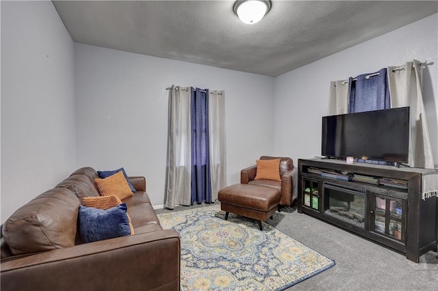 2509 E 4th St, Pittsburg, KS 66762 - living area with carpet floors and a textured ceiling