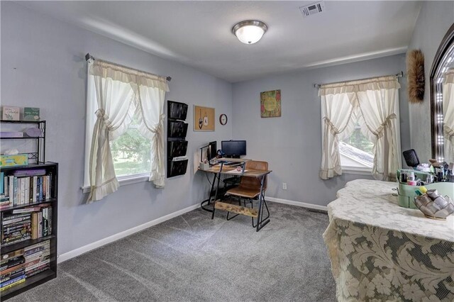 2509 E 4th St, Pittsburg, KS 66762 - office area with carpet flooring and baseboards