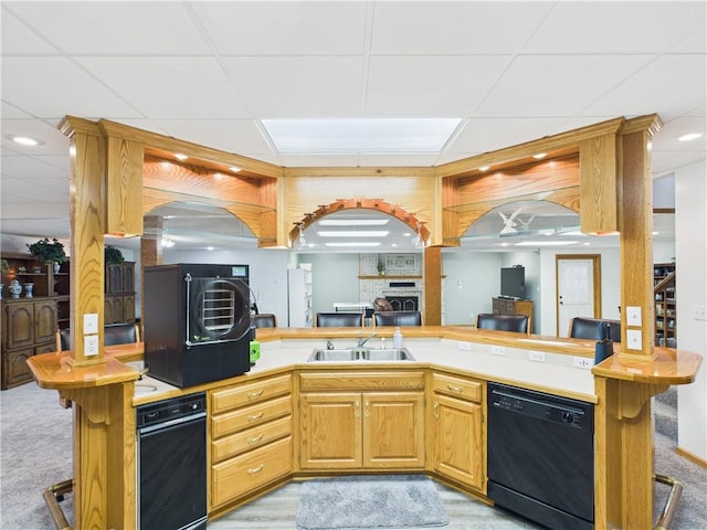 529 SE Dd Hwy, Warrensburg, MO 64093 - kitchen with black dishwasher, a drop ceiling, light carpet, light countertops, and open floor plan