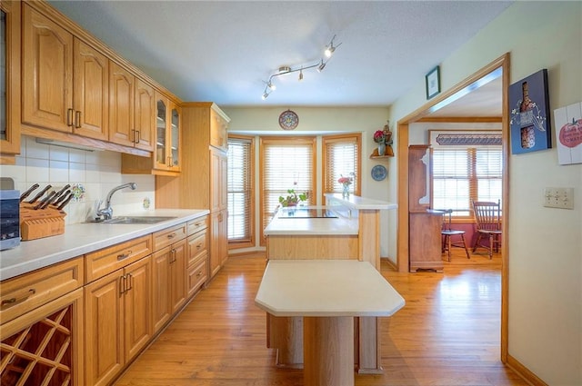 24317 Trail Ridge Pass, Cleveland, MO 64734 - photo 9