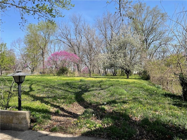 13508 E Silver Ln, Independence, MO 64050 - view of yard