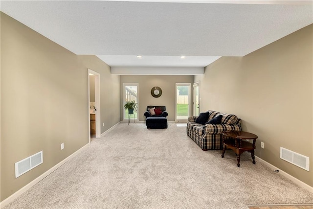 3217 SW Tiara Ln, Lees Summit, MO 64082 - photo 30