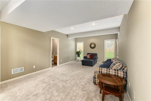 3217 SW Tiara Ln, Lees Summit, MO 64082 - photo 31