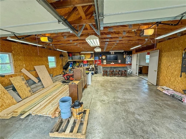 26240 Lakeview Dr, Maryville, MO 64468 - garage featuring a garage door opener and a workshop area