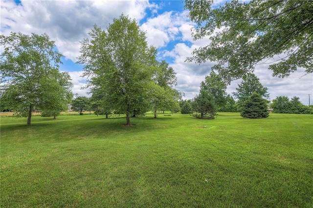 23708 S Southcrest Dr, Peculiar, MO 64078 - view of green lawn